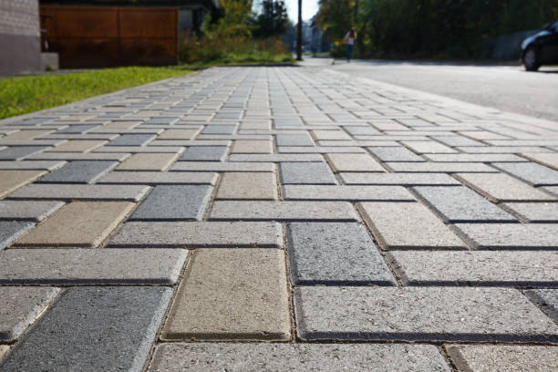 Best Local Driveway Pavers  in Carthage, NC