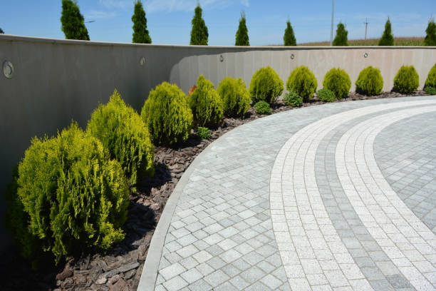 Best Driveway Resurfacing Pavers  in Carthage, NC